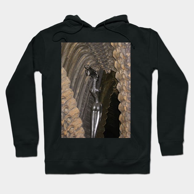 H R Giger Bar. Gruyer, Switzerland Hoodie by IgorPozdnyakov